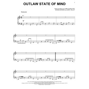 Outlaw State Of Mind